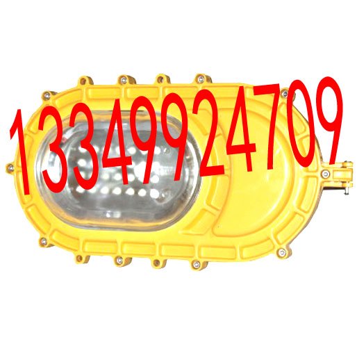 9105B ,LK-FBD1107防爆厂内免维护（LED)节能防爆灯