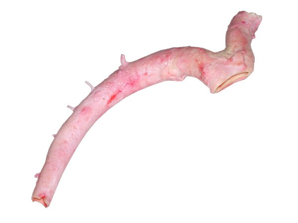 冷冻牛心管.供应商