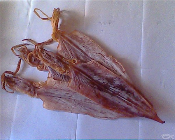 冷冻鱿鱼须 鱿鱼头