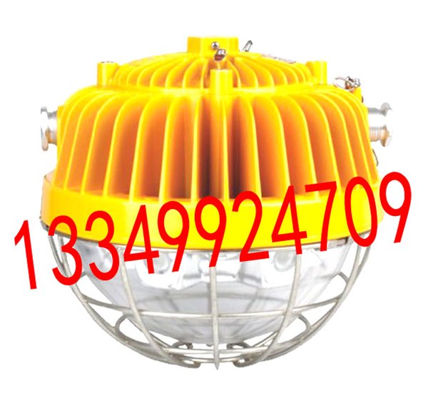 DGS45-127L(E)矿用隔爆型LED照明灯
