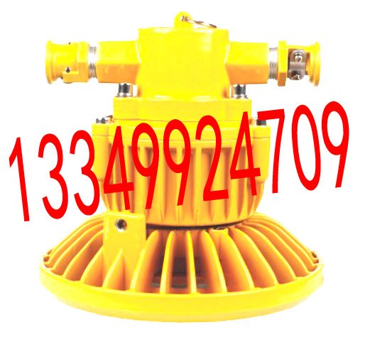 DGS120-127B(B)矿用隔爆型LED照明灯