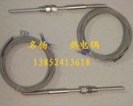WZPK-391铠装热电阻