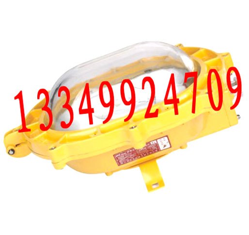 BFE8120,LK-FBE2101内场强光防爆灯（应急）
