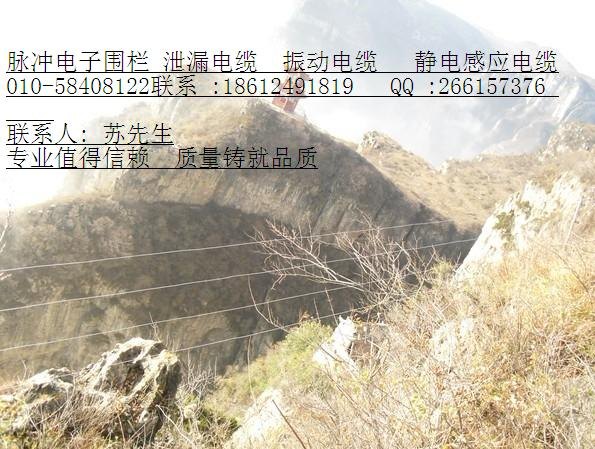 小区 别墅 仓库变电站电子围栏高空作业报价