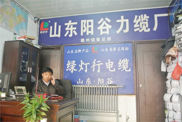 阳谷绿灯行电缆