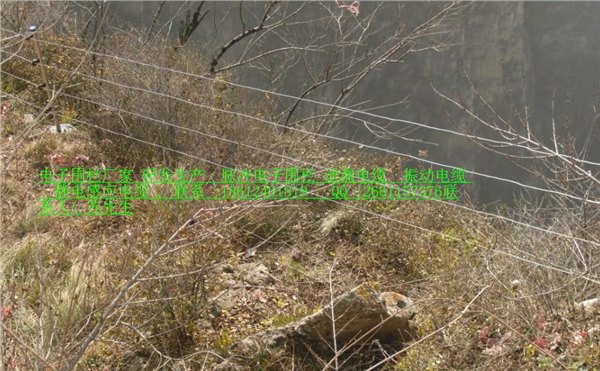 山东 济南市 德州小区电子围栏报价