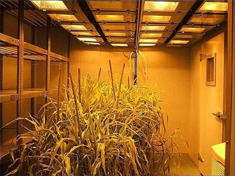 气候室