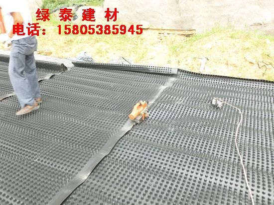供应吕梁【HDPE排水板厂家】绿化排水板&土工膜