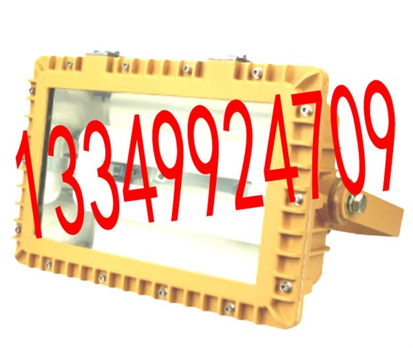 SBD1109-YQL免维护防爆泛光灯
