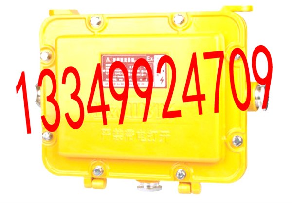 BAZ51IIB ,LK-FBZ01防爆镇流器（IIB  ,IIC)