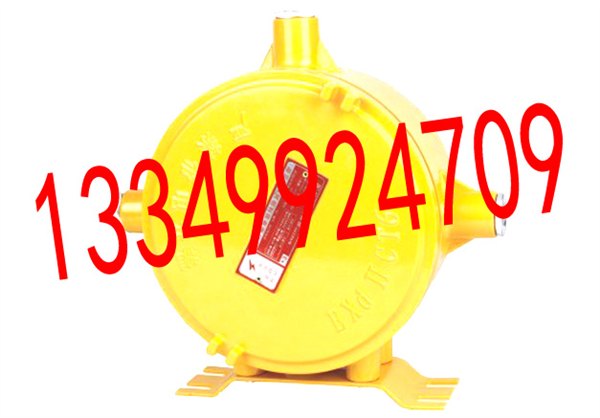 NAZ51IIC ,LK-FBZ02系列防爆镇流器（IIC)