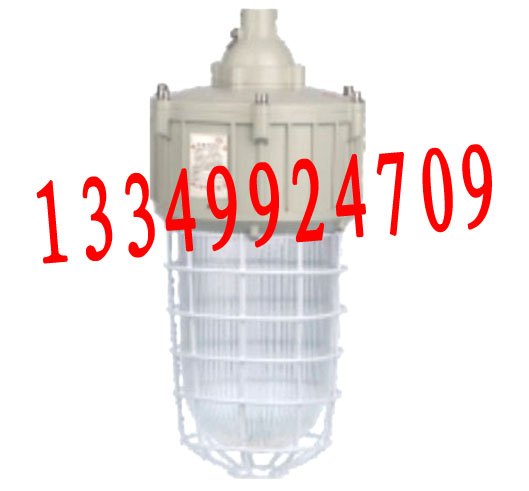 CCd92厂用防爆灯