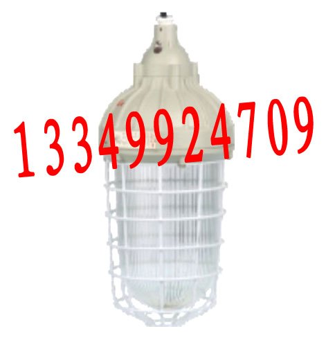 CCd93厂用防爆灯