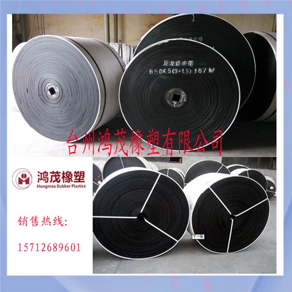 专业制造搅拌站混凝土专用输送带