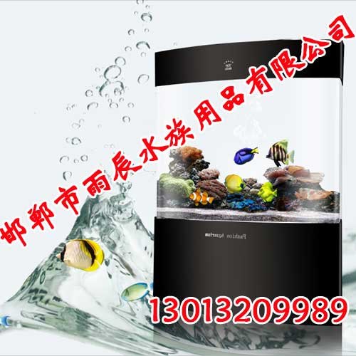 观赏鱼缸,观赏鱼缸厂家,观赏鱼缸批发,雨辰鱼缸