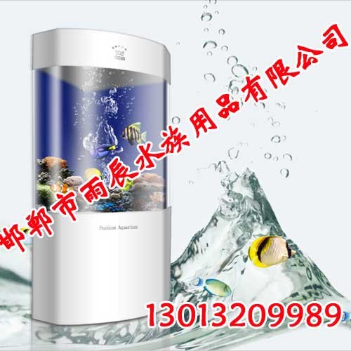 亚克力鱼缸,亚克力水族箱,亚克力鱼缸图片,雨辰鱼缸