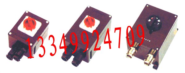 BHZ8050系列防爆防腐转换开关（IIC)