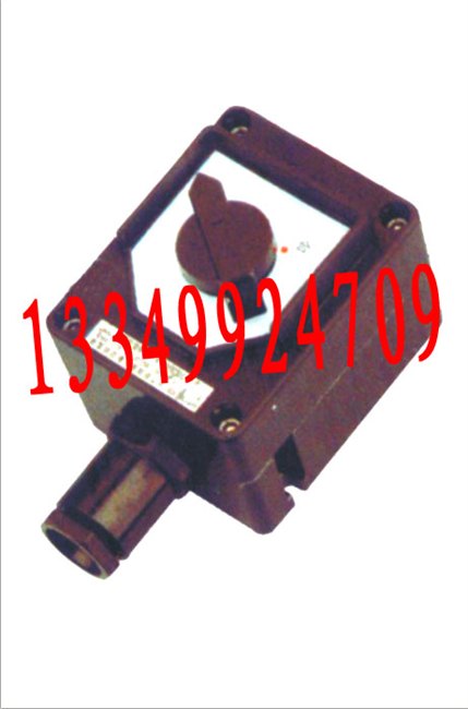 BZM8050系列防爆防腐照明开关（IIC)