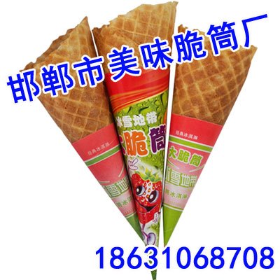 邯郸小脆筒邯郸小脆筒