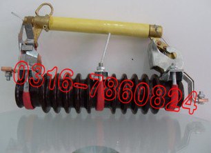 HRW10-10F/100支柱式熔断器