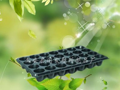 28孔塑料育苗穴盘批发销售