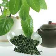 供应明月草茶降三高