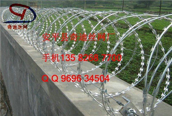供应不锈钢bto-22刀片刺绳刀片刺线
