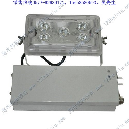 批发LED应急灯NFC9178