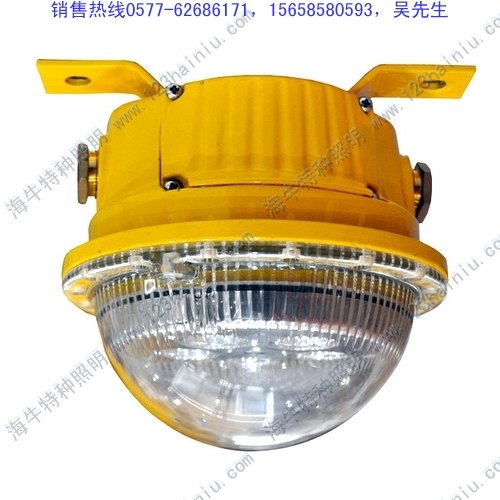 批发LED防爆灯BFC8183