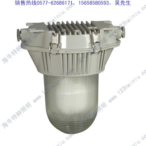 批发长寿防眩灯NSC9720