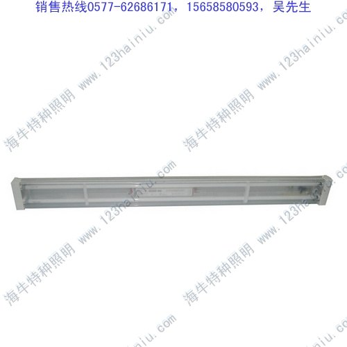 批发宽压荧光灯NYC9330
