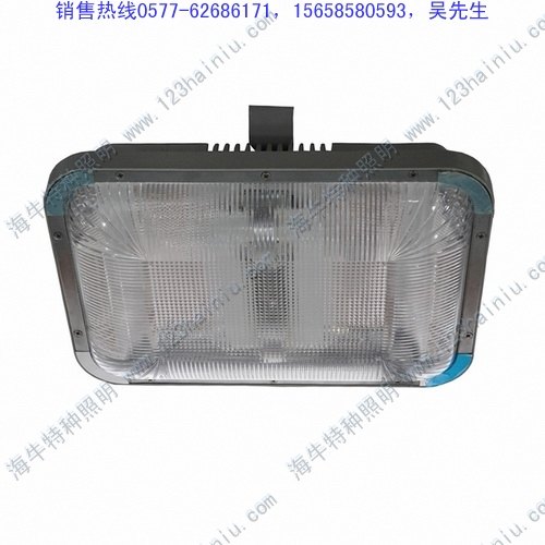 批发长寿顶灯NFC9175