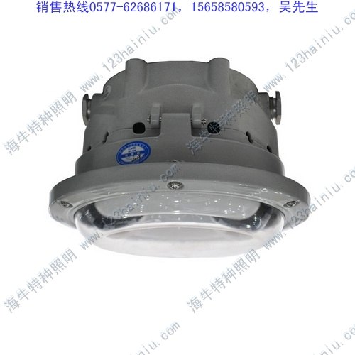 批发长寿顶灯NFC9176