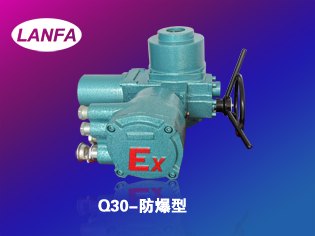 江苏兰阀-Q矿用防爆型电动装置