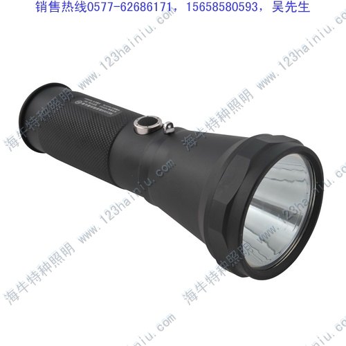 批发远射程防爆手电BW7100