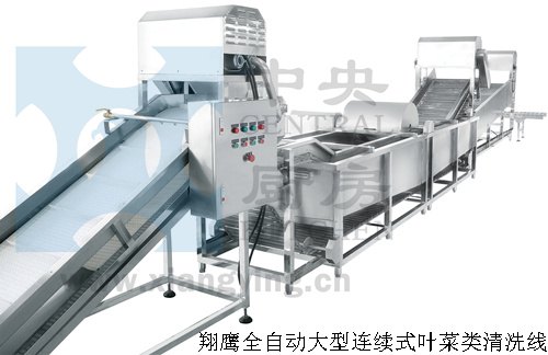 蔬菜清洗生产线 蔬菜清洗流水?线 蔬菜清洗加工生产线