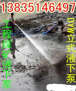 内蒙新疆多功能液压泥浆泵液下泵DYW大口径立式液下泵