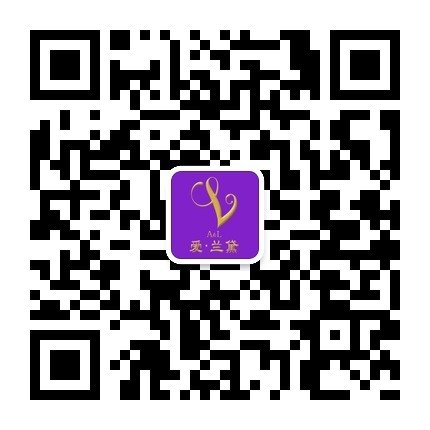 上海微网站制作最好的公司