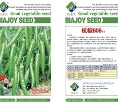 热销产品早熟杭椒辣椒种子