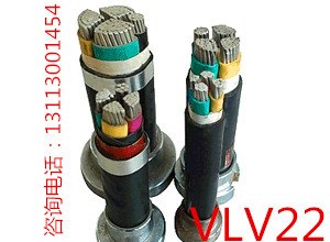 VLV22聚氯乙烯电力电缆