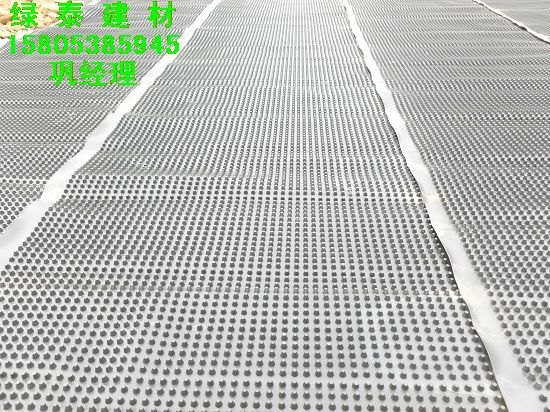 供应∑孝感HDPE排水板&随州【车库排水板】