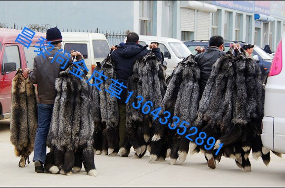 狐貉貂养殖场，昌黎县皮毛养殖场