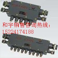 和宇直销JHH10T系列矿用接线盒