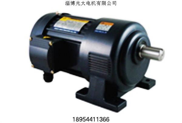 130ZYT103/A1【A3】卧式立式直流永磁微型电机