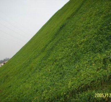 边坡绿化施工边坡防护客土喷播裸土复绿