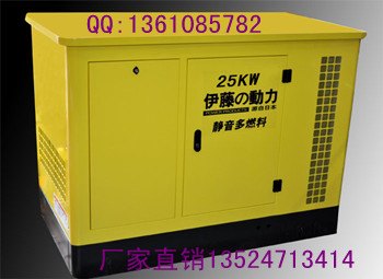 25KW汽油发电机 伊藤YT25REG