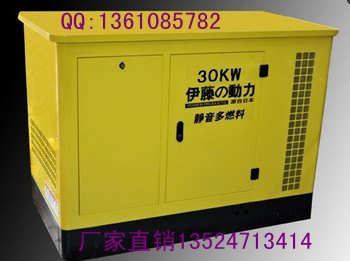 30千瓦汽油发电机 伊藤YT30REG
