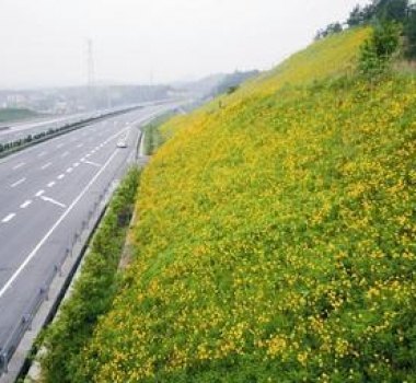 高速公路边坡绿化防护