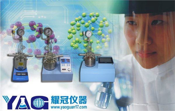供应西宁200ml微型反应器