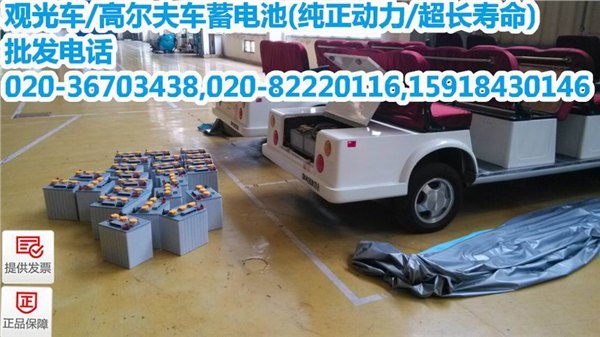 高尔夫球车蓄电池